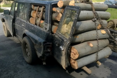 Автоприколы для удивления и улыбок