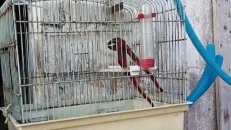 Иллюзия обмана