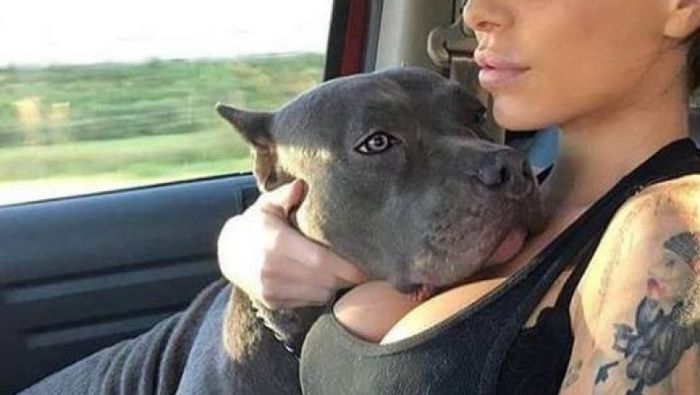 Для любителей чего-нибудь погорячей 