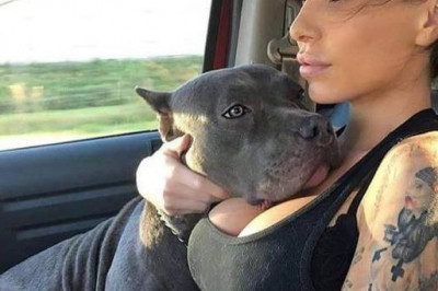 Для любителей чего-нибудь погорячей 