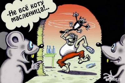 Смешные анекдоты про котов 