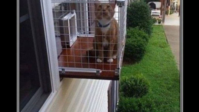 Прогулка строгого режима