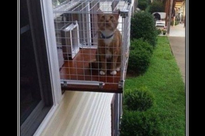 Прогулка строгого режима