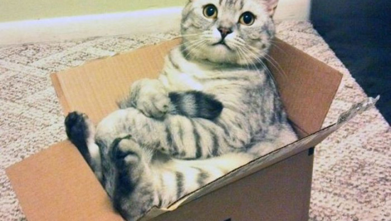 Тесновато в коробке 