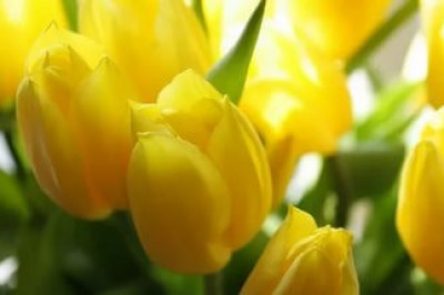 Цветы на свадьбу для подруги