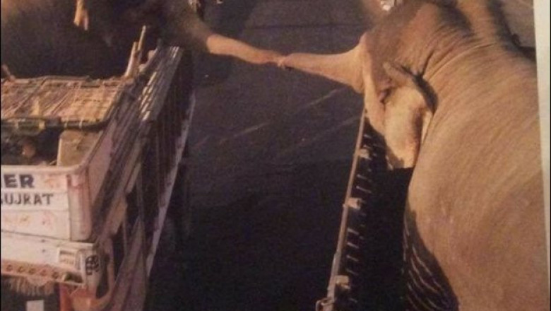 Встретились два друга