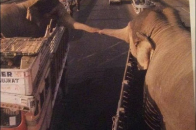 Встретились два друга