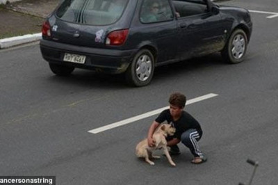 Фотографии о доброте и бескорыстии 