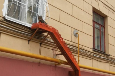 Лестница для домашнего питомца