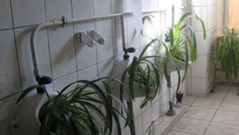 Просто для настроения 