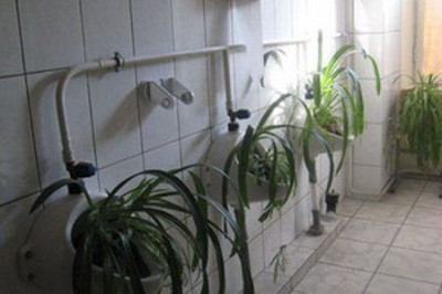 Просто для настроения 