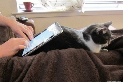 Вполне адекватная оборудка