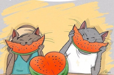 За что мы любим лето