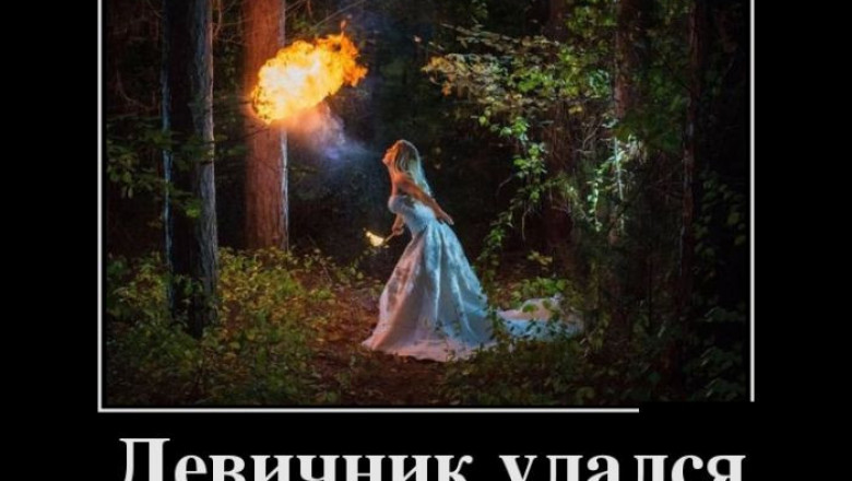 Демотиваторы в ленту 