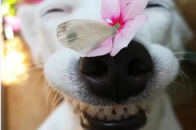 Лето на носу !