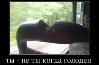 Когда очень проголодался