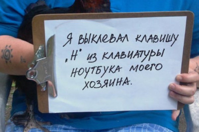 Провинившиеся петухи и курицы 