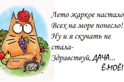Вот уж точно : не в бровь так в глаз 