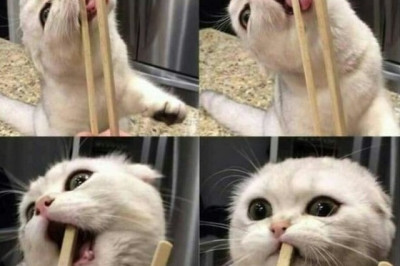 Забавные фотокадры 