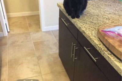 Это не мы, оно само упало