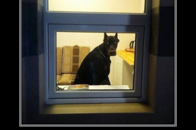 Консьерж в подъезде 