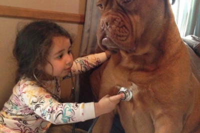 Умилительные фото малышей и собачки 