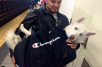 Вот так да !