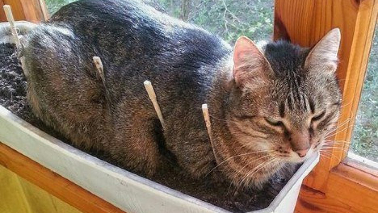 Будет повод для улыбки !