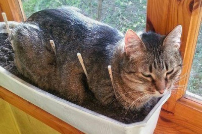 Будет повод для улыбки !