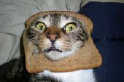 Недоеденный бутерброд