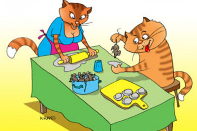 От жизни лежачей не отказался ни один кошачий