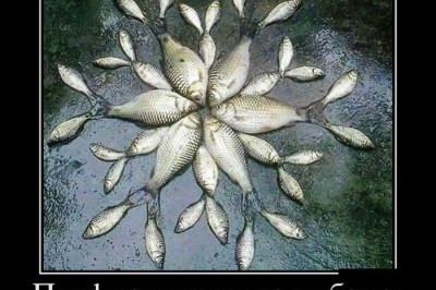 Перфекционисты в нашей жизни