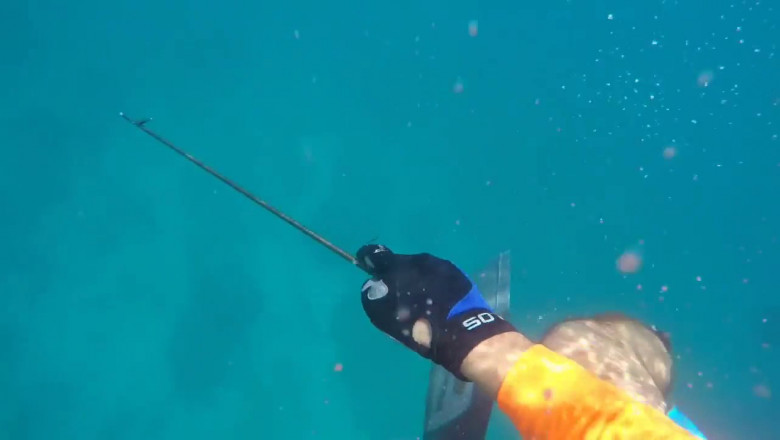 Нападение акулы 