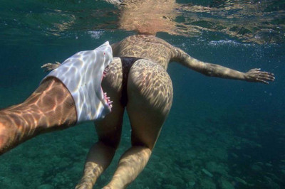 Подводный мир прекрасен