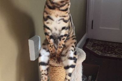 Разное для улыбки 