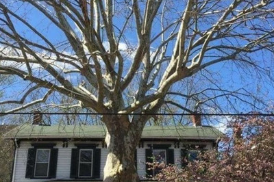 Калейдоскоп приколов