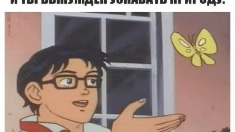 Позитив в прикольных картинках 