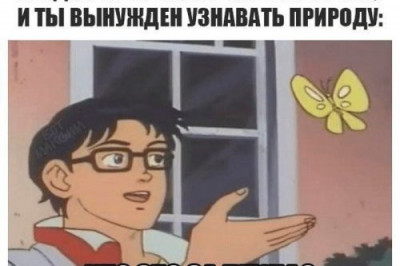 Позитив в прикольных картинках 