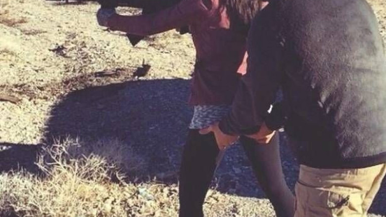 Всем бы таких помощников