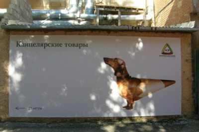 Креативные снимки с российских просторов 