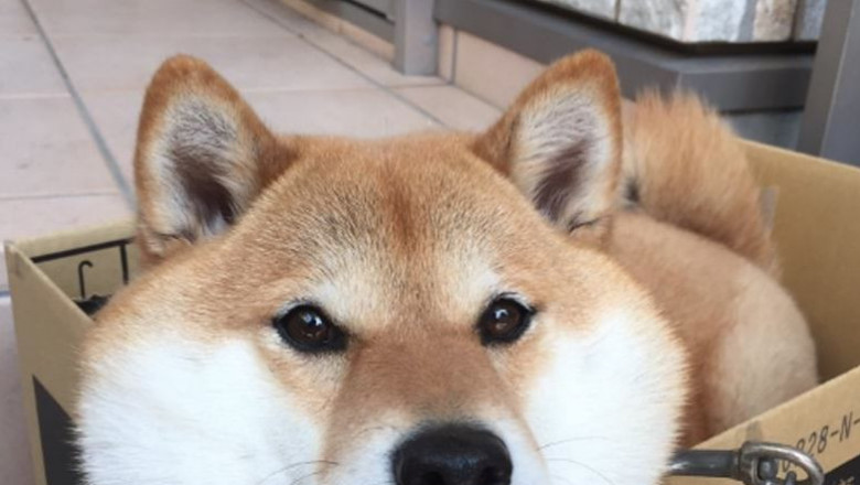 Забытая мотивация 