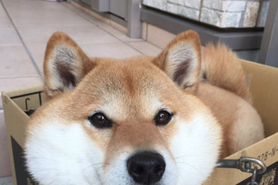 Забытая мотивация 