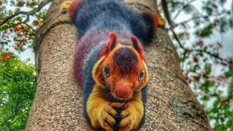 И это не фотошоп 