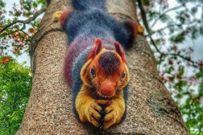 И это не фотошоп 