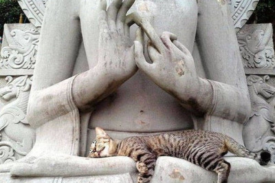 Сборник фотоприколов 