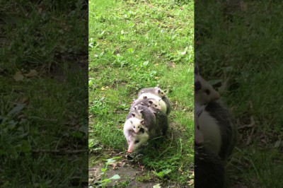 Как трудно быть мамой 