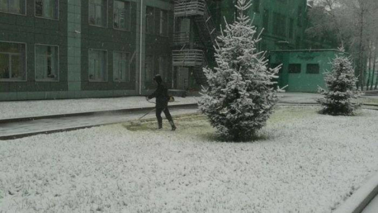 Косят траву в зимний период 