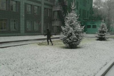 Косят траву в зимний период 