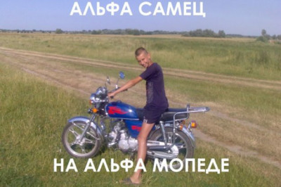 Настоящие альфа-самцы