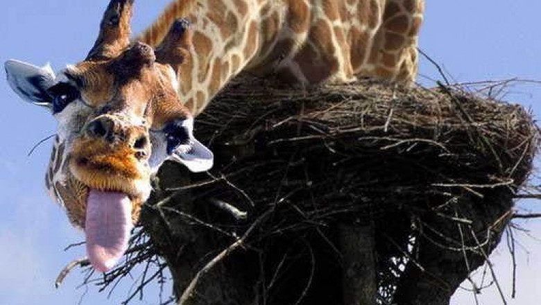 Самые прикольные картинки  